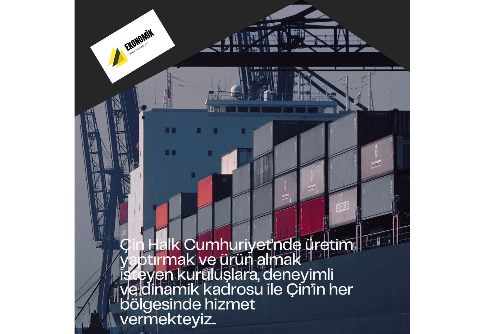 Danışmanlık ve Destek Hizmetleri